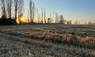 Parcelas 5.000M2 sector Las Quilas, Pueblo Seco