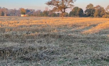 Parcelas 5.000M2 sector Las Quilas, Pueblo Seco