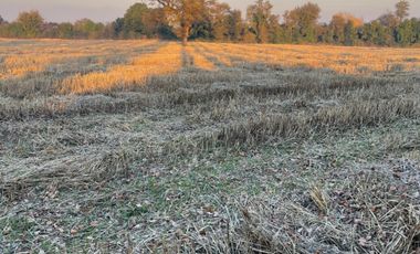 Parcelas 5.000M2 sector Las Quilas, Pueblo Seco