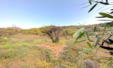 Sitio con vista, Hacienda Chicureo