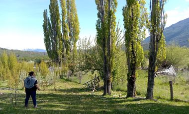 VENDO LOTE DE 11 HECTAREAS Y 2 HECTÁREAS, A 5 KM. DE PUERTO BELTRAND, REGION DE AYSEN