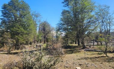 VENDO LOTE DE 11 HECTAREAS Y 2 HECTÁREAS, A 5 KM. DE PUERTO BELTRAND, REGION DE AYSEN