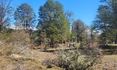 VENDO LOTE DE 11 HECTAREAS Y 2 HECTÁREAS, A 5 KM. DE PUERTO BELTRAND, REGION DE AYSEN