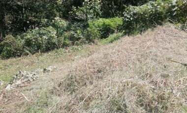 TERRENO EN VENTA FRACCIONAMIENTO SAN JOSE