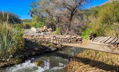 Terreno de 12 hectáreas con orilla de río y casa, Río Hurtado. $180 millones