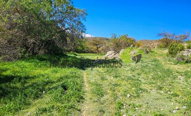 Terreno de 12 hectáreas con orilla de río y casa, Río Hurtado. $180 millones