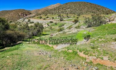 Terreno de 12 hectáreas con orilla de río y casa, Río Hurtado. $180 millones