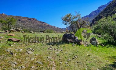 Terreno de 12 hectáreas con orilla de río y casa, Río Hurtado. $180 millones