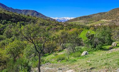 Terreno de 12 hectáreas con orilla de río y casa, Río Hurtado. $180 millones