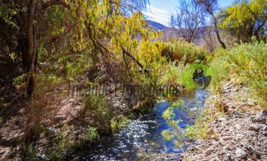 Terreno de 12 hectáreas con orilla de río y casa, Río Hurtado. $180 millones