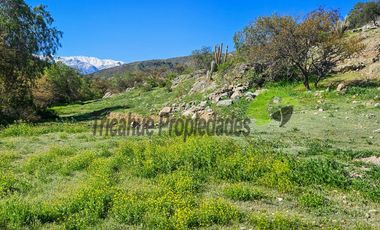 Terreno de 12 hectáreas con orilla de río y casa, Río Hurtado. $180 millones