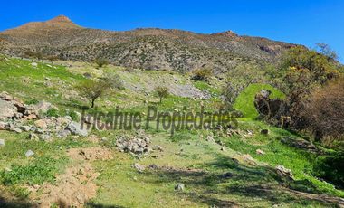Terreno de 12 hectáreas con orilla de río y casa, Río Hurtado. $180 millones