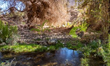 Terreno de 12 hectáreas con orilla de río y casa, Río Hurtado. $180 millones