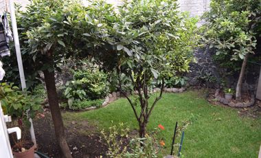 RENTA CASA EN SANTA URSULA CON JARDIN