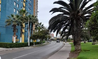 Arriendo departamento amueblado sector Playa Brava