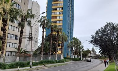Arriendo departamento amueblado sector Playa Brava