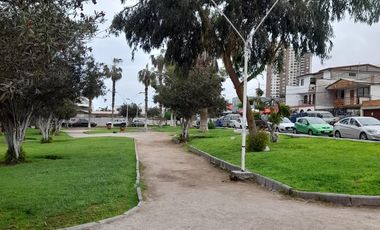 Arriendo departamento amueblado sector Playa Brava