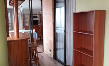 Arriendo departamento amueblado sector Playa Brava