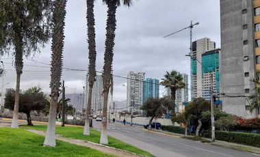 Arriendo departamento amueblado sector Playa Brava