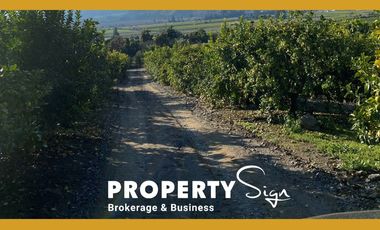 Venta Terreno Agricola Valle de Mallarauco / A-9-24