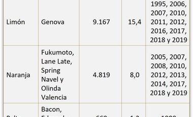 Venta Terreno Agricola Valle de Mallarauco / A-9-24
