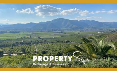 Venta Terreno Agricola Valle de Mallarauco / A-9-24