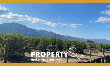Venta Terreno Agricola Valle de Mallarauco / A-9-24