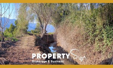 Venta Terreno Agricola Valle de Mallarauco / A-9-24