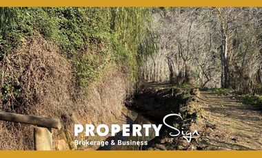 Venta Terreno Agricola Valle de Mallarauco / A-9-24