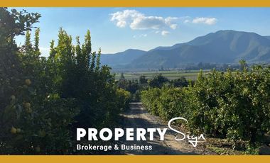 Venta Terreno Agricola Valle de Mallarauco / A-9-24