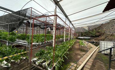 Terreno en venta, San Andres Totoltepec