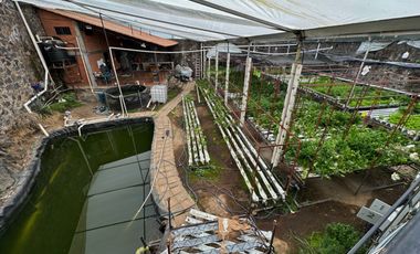 Terreno en venta, San Andres Totoltepec