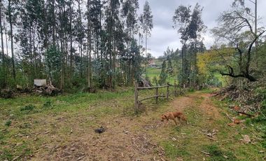Terreno en el valle de turi