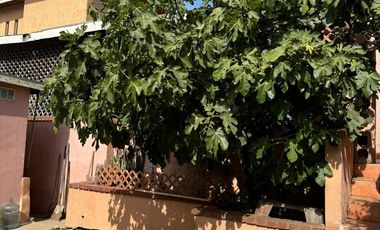 casa habitacion cerca garita colonia Juarez