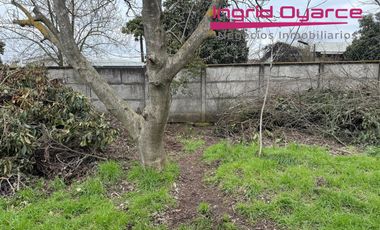VENDO HERMOSA Y AMPLIA PROPIEDAD CON CASA Y LOCAL COMERCIAL