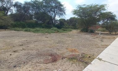 Venta de Lote de Terreno en Piura