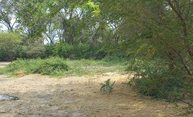 Venta de Lote de Terreno en Piura