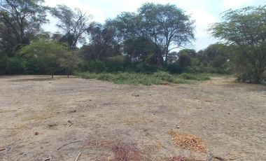 Venta de Lote de Terreno en Piura