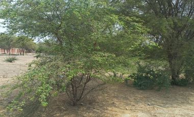 Venta de Lote de Terreno en Piura