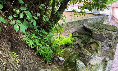 TERRENO A UNOS PASOS DEL CENTRO DE MINERAL DEL CHICO