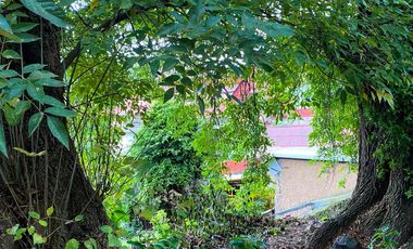 TERRENO A UNOS PASOS DEL CENTRO DE MINERAL DEL CHICO