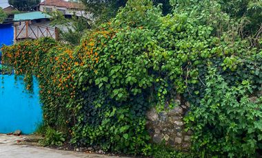TERRENO A UNOS PASOS DEL CENTRO DE MINERAL DEL CHICO