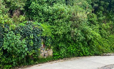 TERRENO A UNOS PASOS DEL CENTRO DE MINERAL DEL CHICO