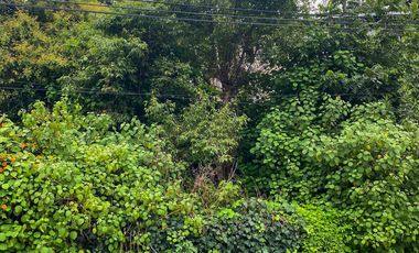 TERRENO A UNOS PASOS DEL CENTRO DE MINERAL DEL CHICO