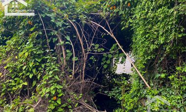 TERRENO A UNOS PASOS DEL CENTRO DE MINERAL DEL CHICO