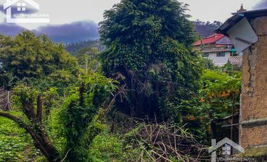 TERRENO A UNOS PASOS DEL CENTRO DE MINERAL DEL CHICO