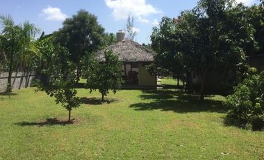 Hermosa propiedad en El Naranjo