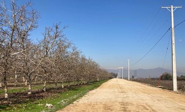 Venta Parcela 5000m2 en sector Oliveto, Talagante