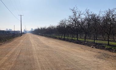 Venta Parcela 5000m2 en sector Oliveto, Talagante