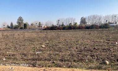 Venta Parcela 5000m2 en sector Oliveto, Talagante